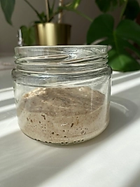 Doğal Ekşi Maya - 50 gr