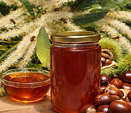 Kestane Balı (500gr)