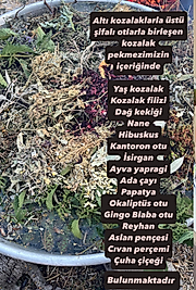 Sade Kozalak - 660 cc