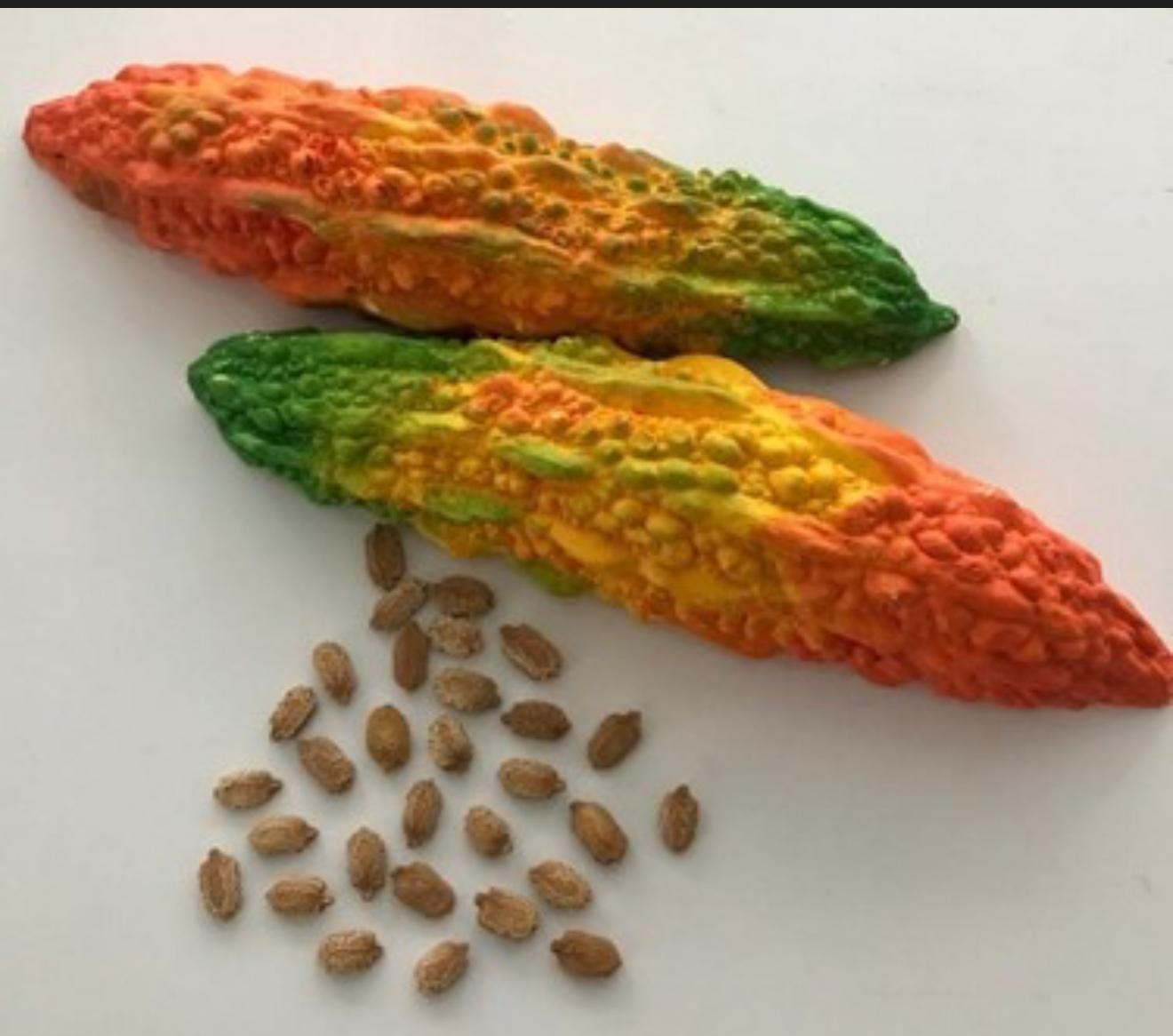 71 Adet kudret Narı tohumu