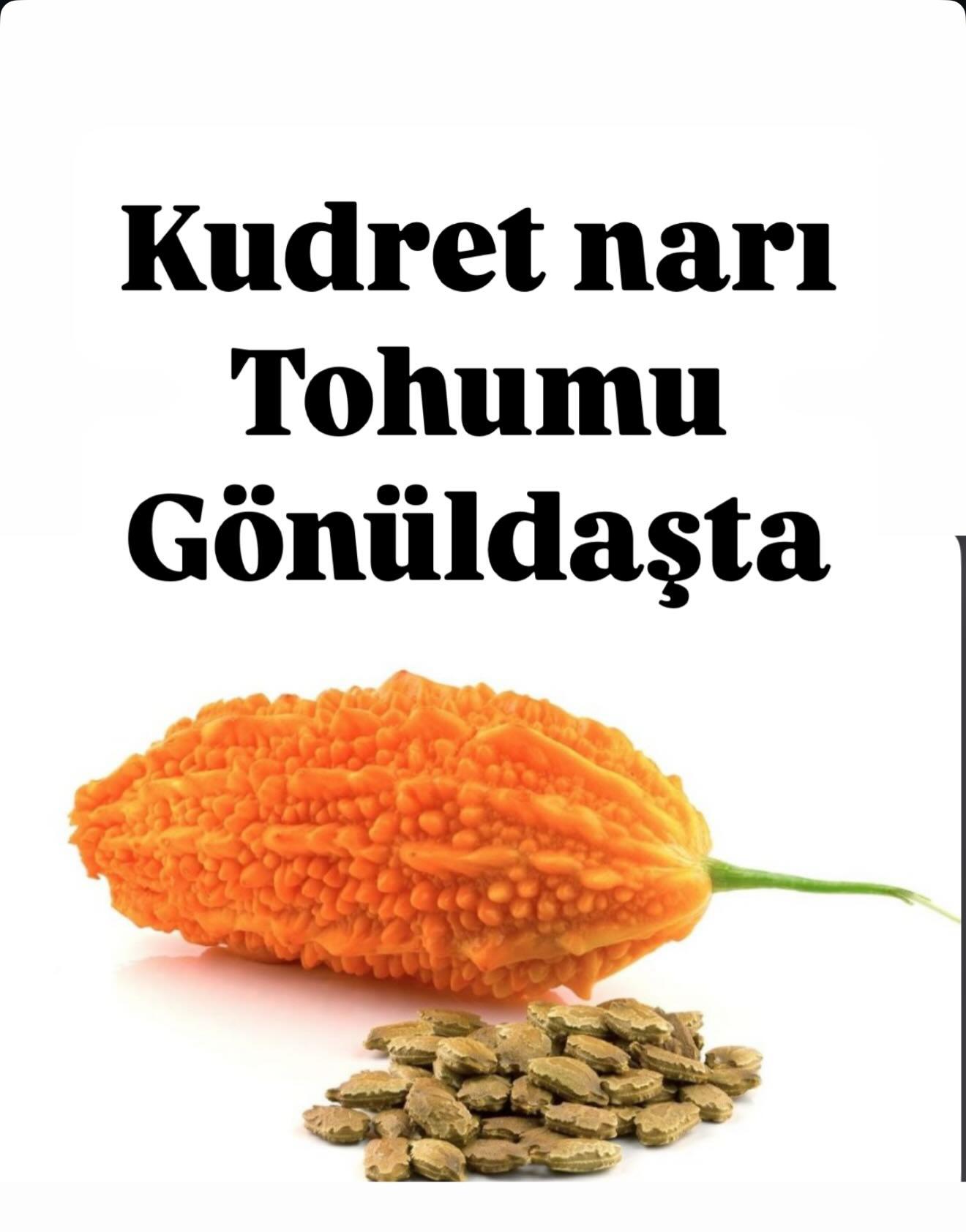 109Adet kudret Narı tohumu